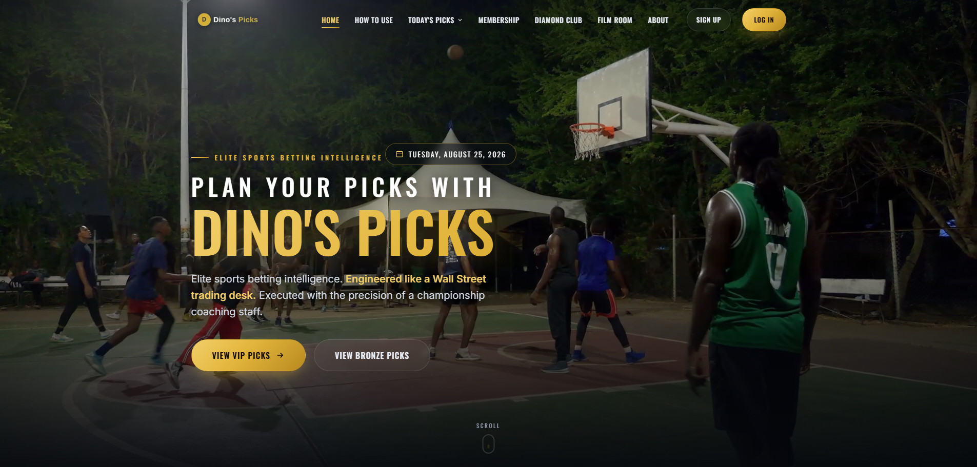 迪诺精选-Dino's Picks